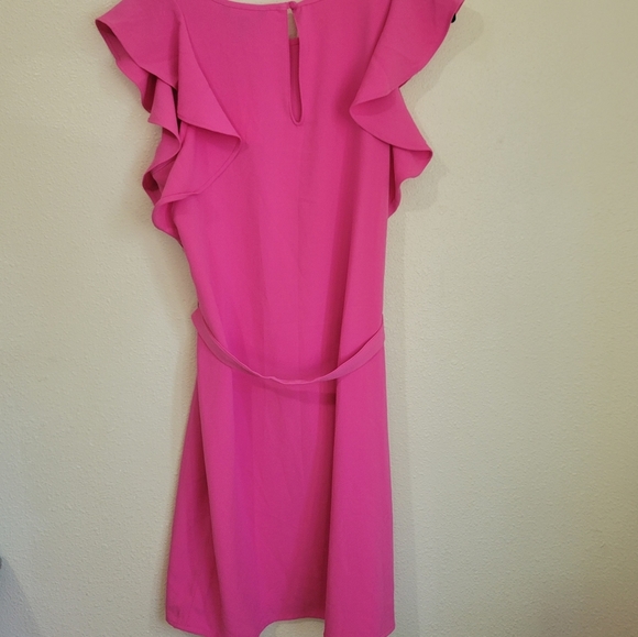 NWT Banana Republic Pink Flutter Sleeve Dress Size Small - Picture 5 of 9